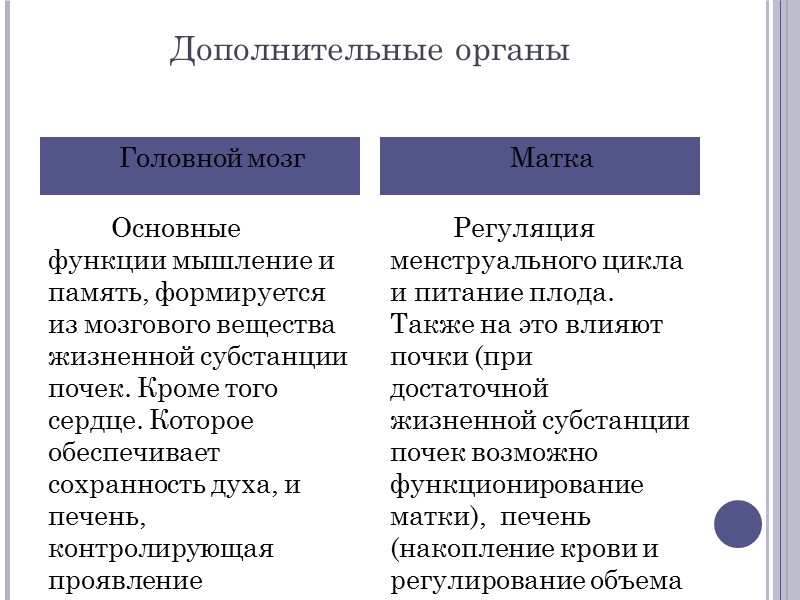 Дополнительные органы  Основные функции мышление и память, формируется из мозгового вещества жизненной субстанции